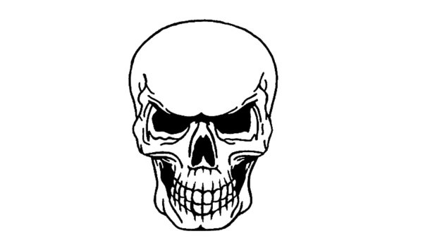 Череп рисунок карандашом