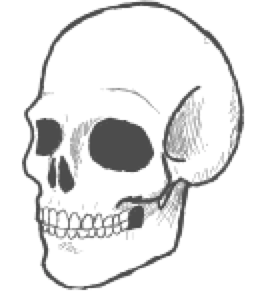 Череп рисунок карандашом легкий для повязки