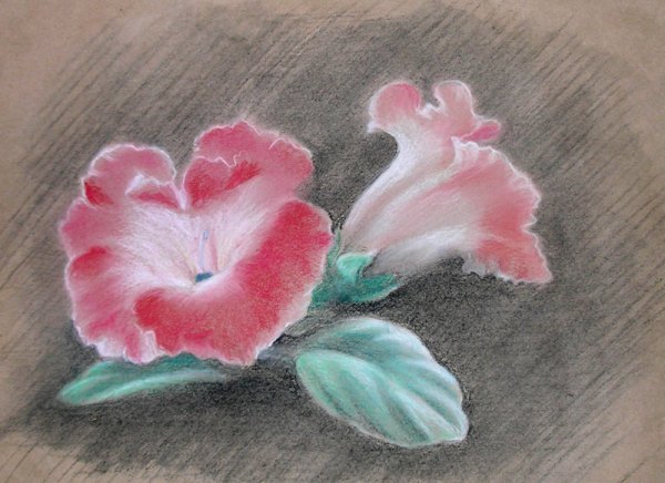 Рисунки пастелью сухой для начинающих