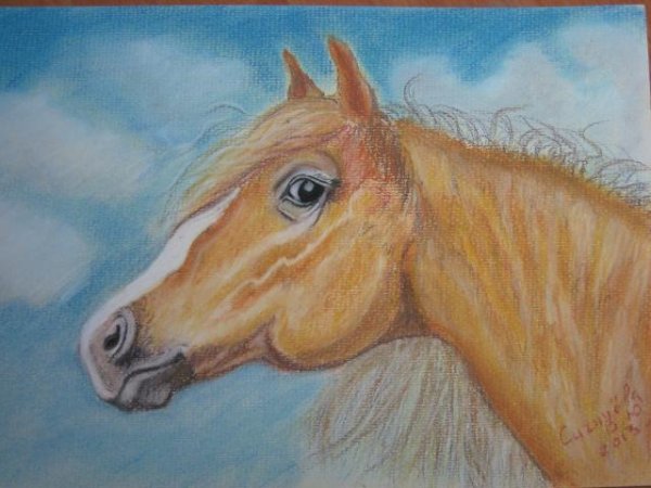 Картины пастелью для начинающих срисовки