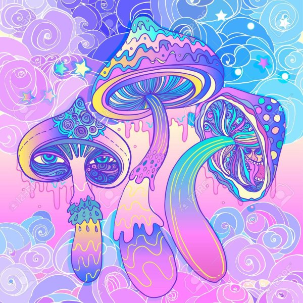 Эстетика лягушки инди КИД