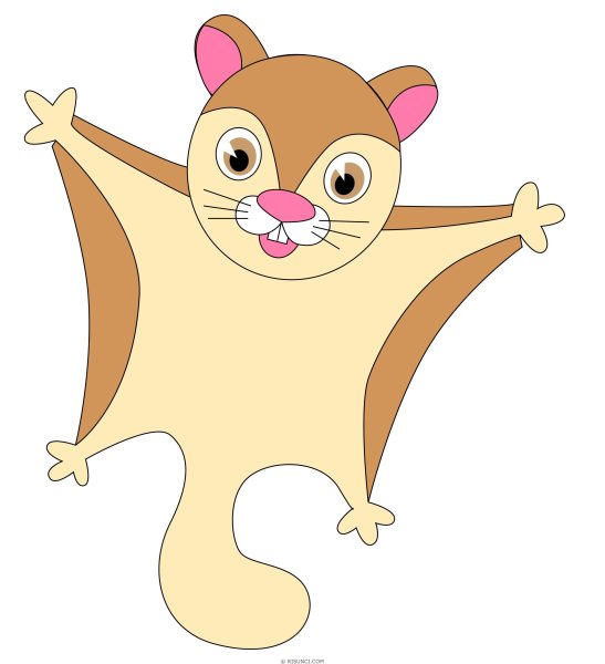 Белка летяга