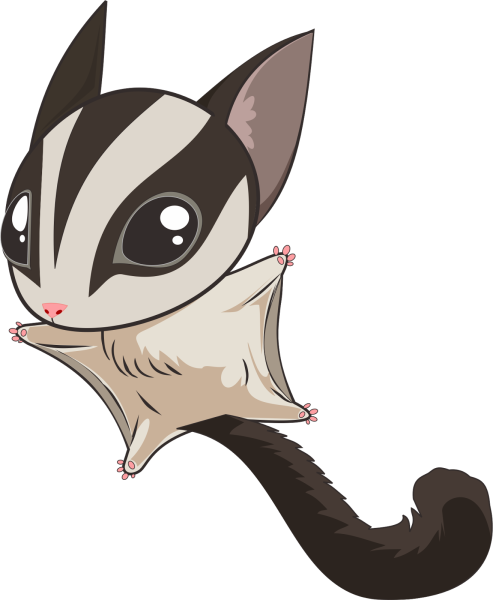 Белка летяга арт