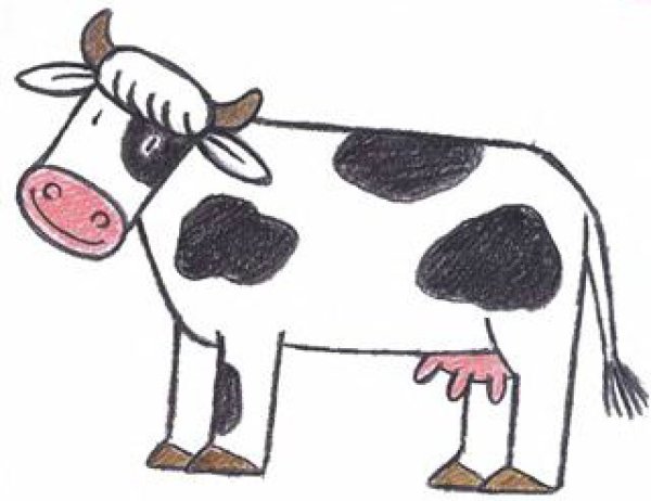 Поэтапное рисование коровы