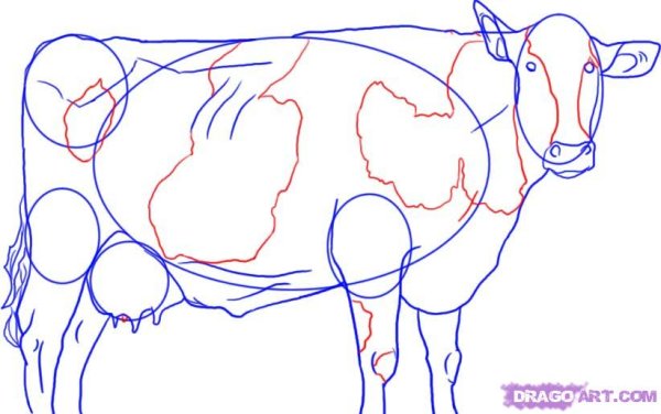 Ручка корова