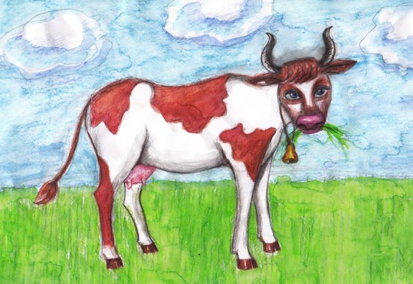 Схемы рисования животных