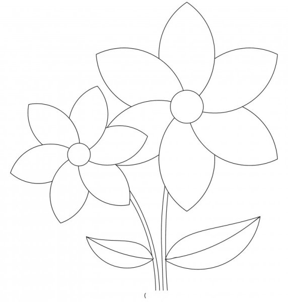 Цветы для рисования