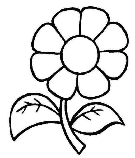 Цветы. Раскраска для малышей