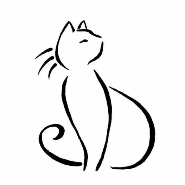 Кошка схематично