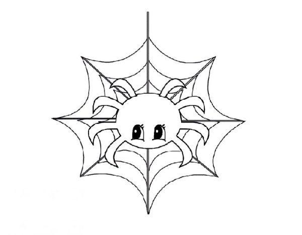 Паучок раскраска для детей