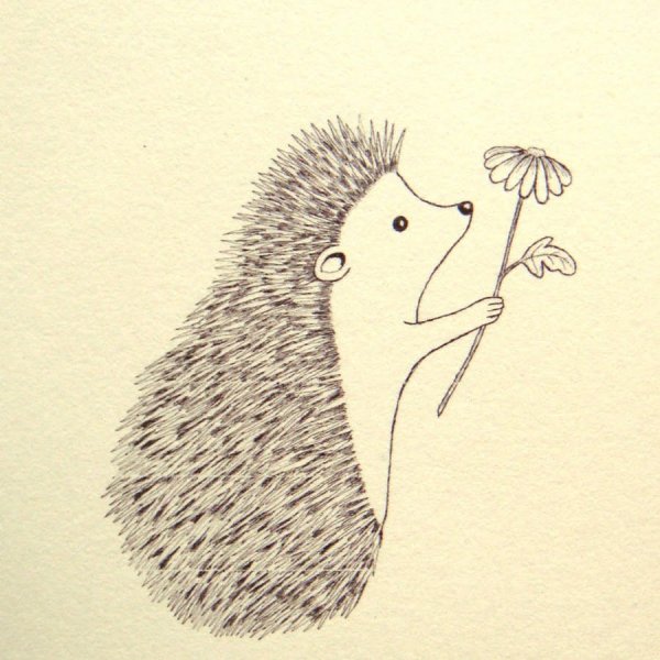Ежик рисунок