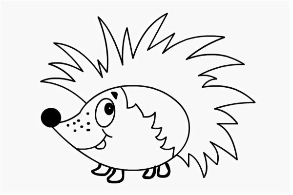 Картинка Ёжика для детей раскраска