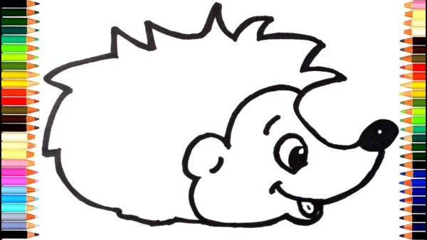 Ёжик для срисовки