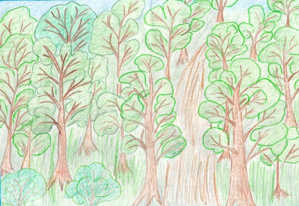 Рисунок леса
