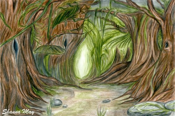 Лес цветными карандашами