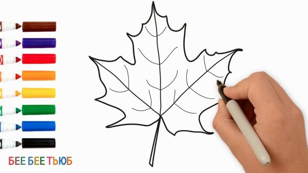 Кленовый лист легко