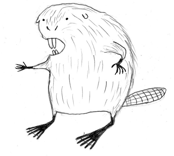 Бобер карандашом