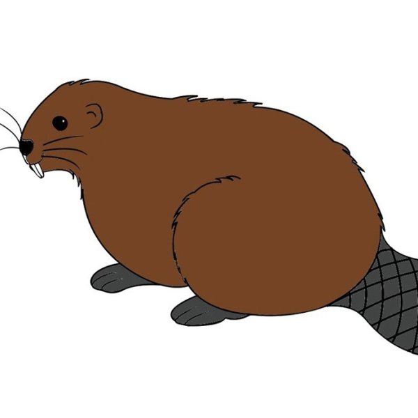 Нарисовать бобра