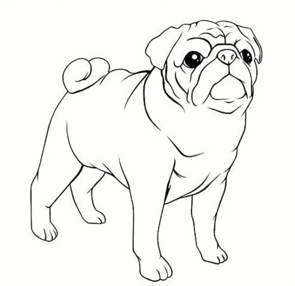 Картинки собак для срисовки