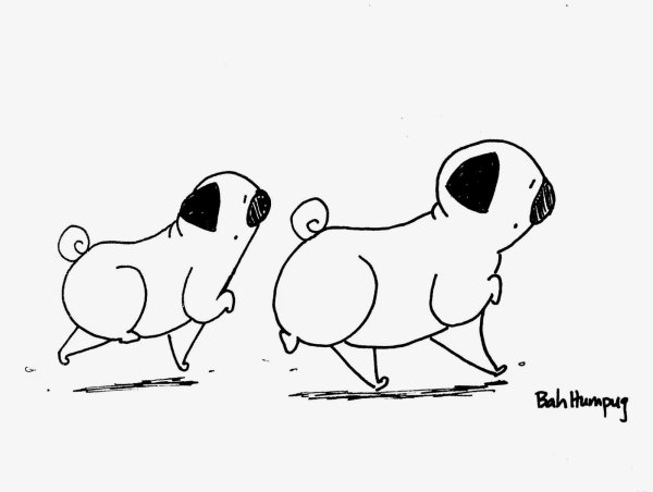 Мопс рисунок легкий