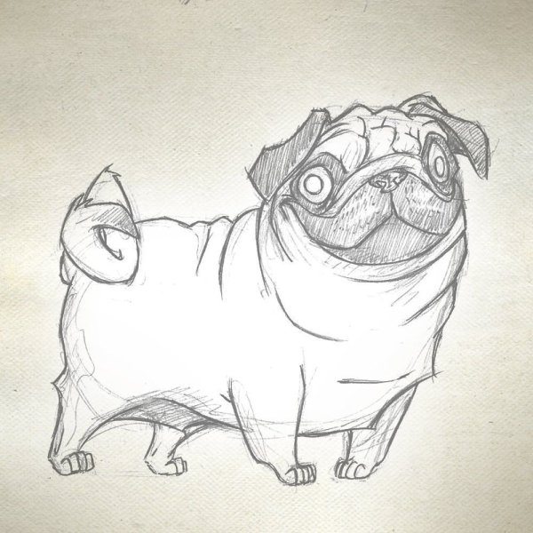 Мопс скетч