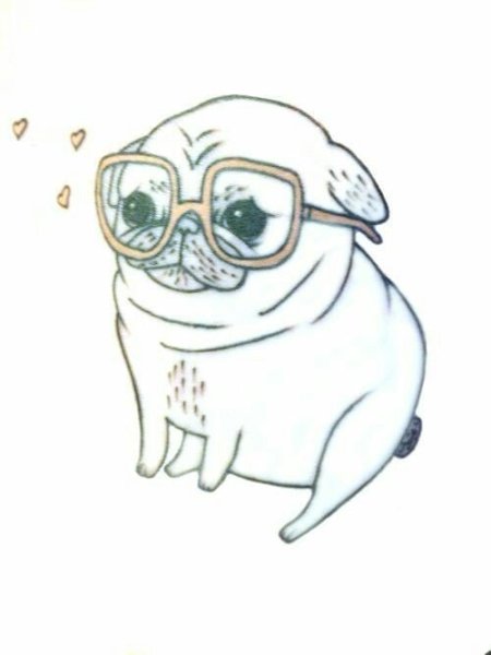 Мопс рисунок для срисовки