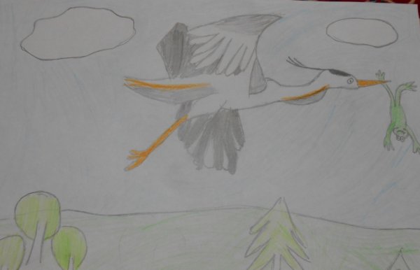 Лёгкая иллюстрация к сказке лягушка путешественница