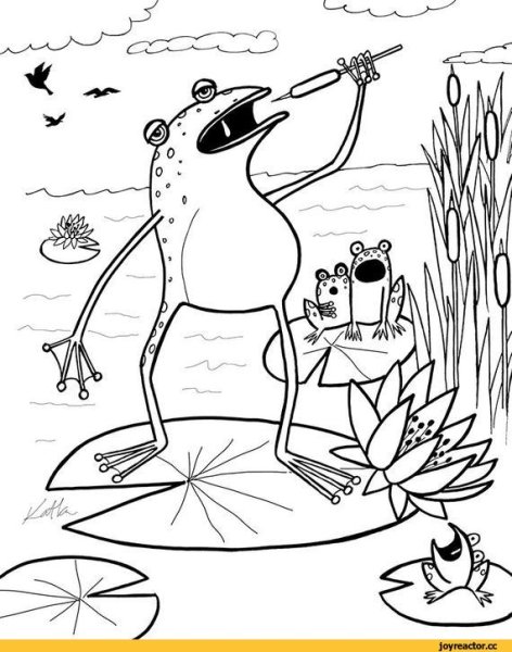 Лягушка путешественница разукрашка