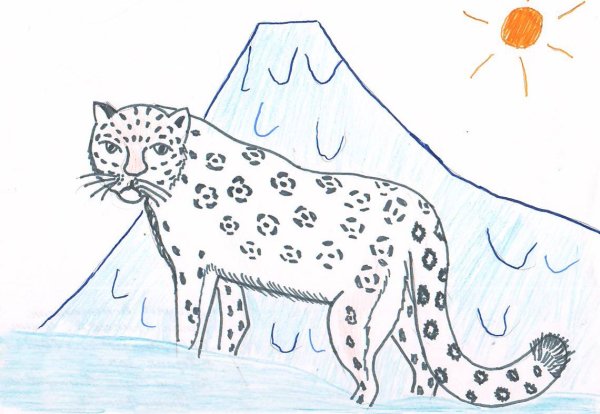 Нарисовать снежного Барса