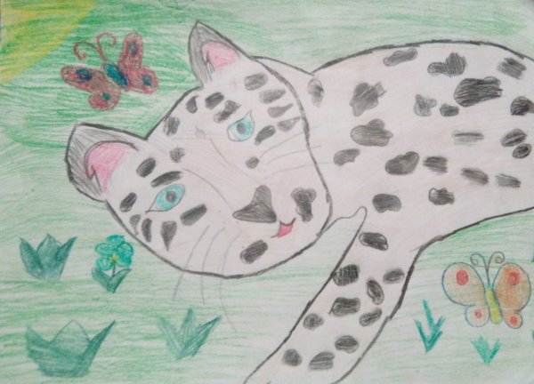 Конкурс рисунков снежный Барс