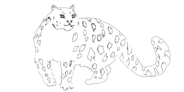 Леопард рисунок карандашом поэтапно