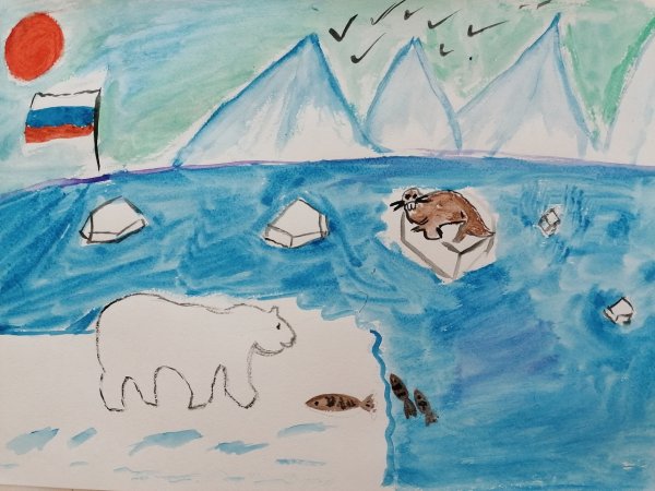 Арктика рисунок