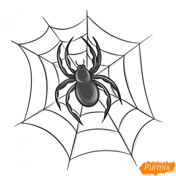 Паук на Хэллоуин рисунок карандашом