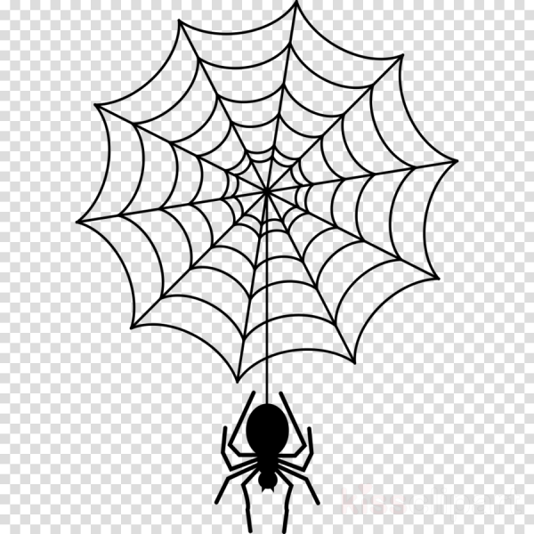 Рисунки для срисовки паутина