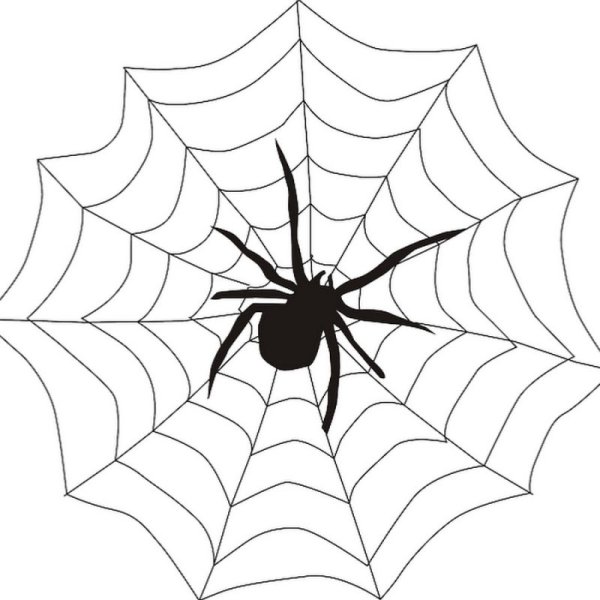 Паук тату эскиз