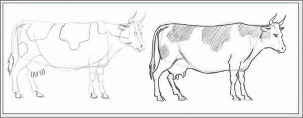 Поэтапное рисование коровы