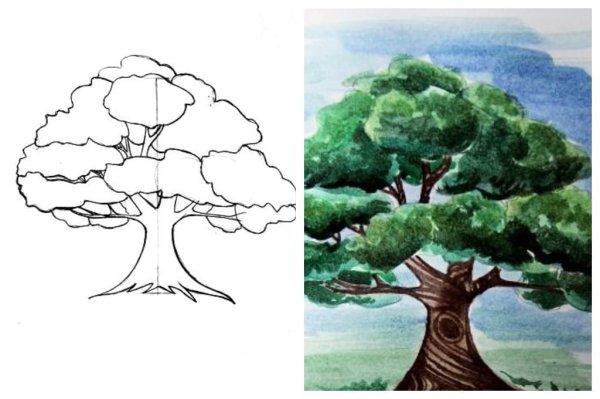 Поэтапное рисование дуба