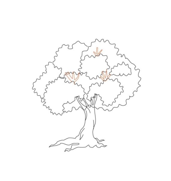 Дуб рисунок легкий