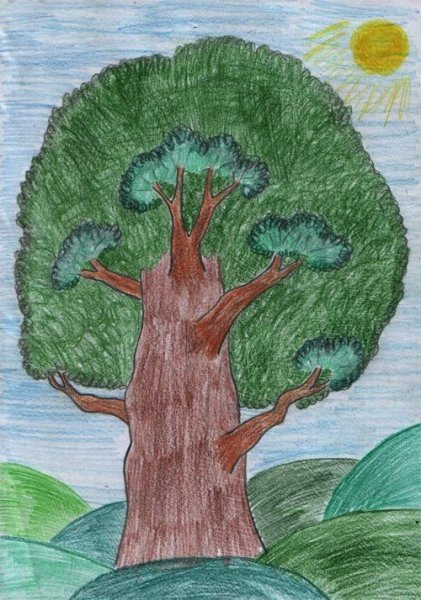 Дерево цветными карандашами