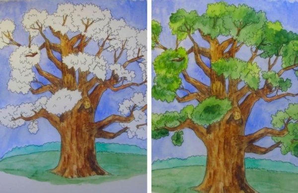 Рисование дуба