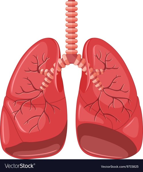 Мультяшные легкие человека