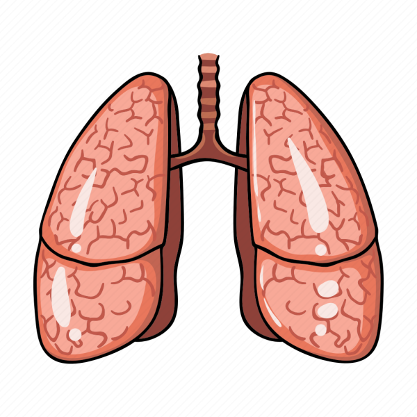 Легкие человека для детей