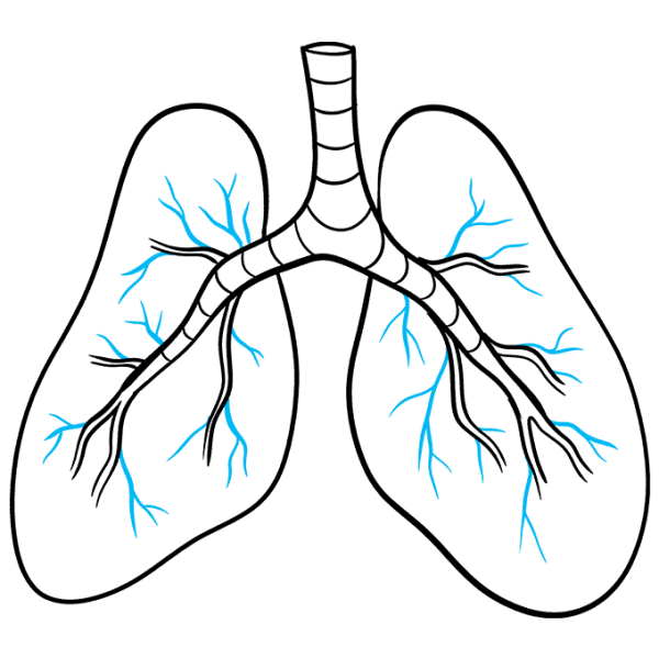 Легкие рисунки