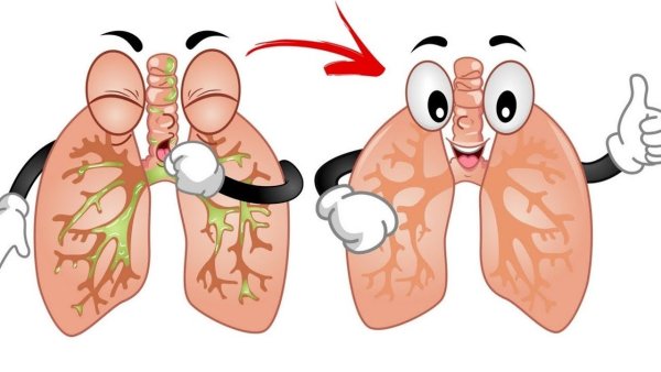 Легкие человека для детей