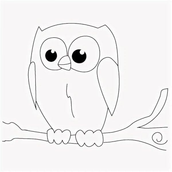 Сова рисунок для срисовки легкие