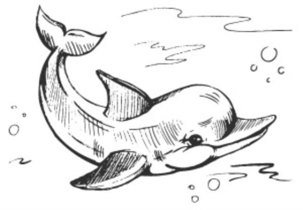 Десятое королевство набор для выжигания 01722