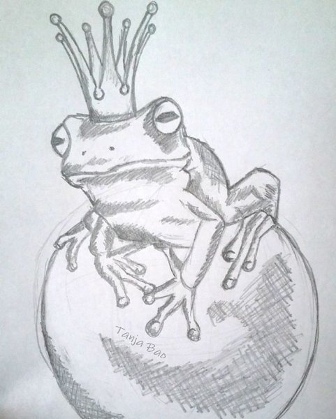 Лягушка карандашом