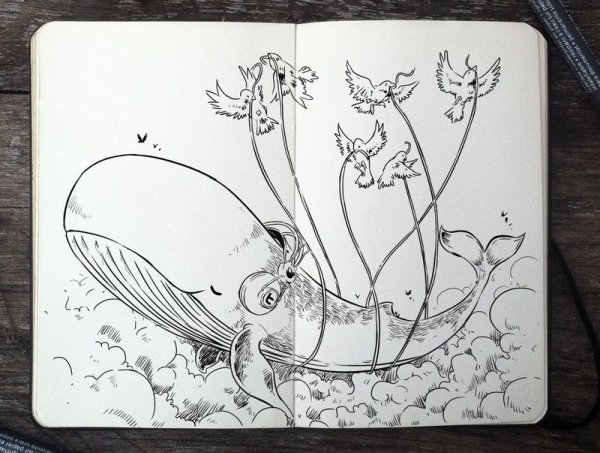 Идеи для рисунков лягушки в скетчбуке