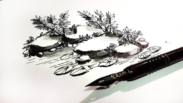 Чекрыгин тушь перо