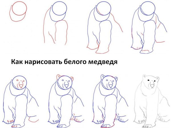 Как рисовать медведя